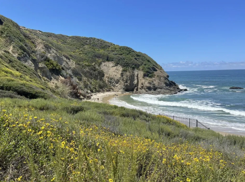 Waldorf Astoria - Strands Beach Hike.jpg
