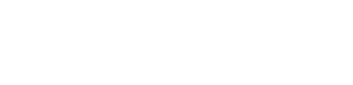 HC100 Logo